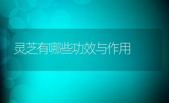 灵芝有哪些功效与作用 | 养殖资料投稿