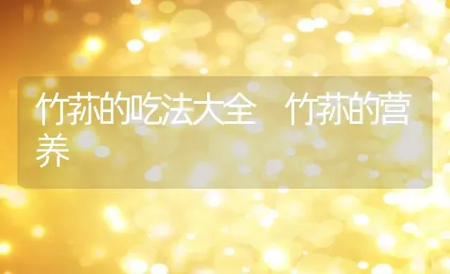 竹荪的吃法大全 竹荪的营养 | 养殖资料投稿