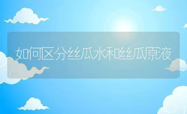 如何区分丝瓜水和丝瓜原液 | 养殖资料投稿