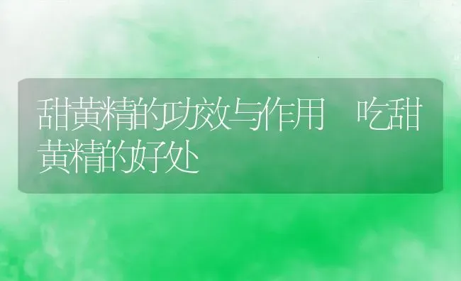 甜黄精的功效与作用 吃甜黄精的好处 | 养殖资料投稿