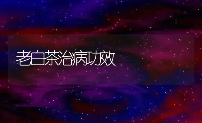 老白茶治病功效 | 养殖资料投稿