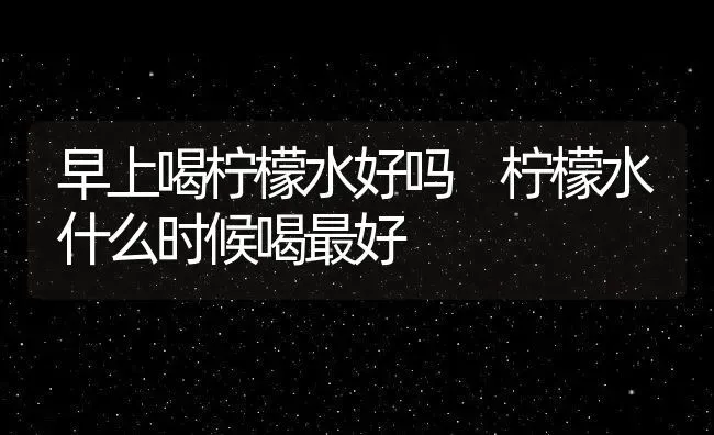早上喝柠檬水好吗 柠檬水什么时候喝最好 | 养殖资料投稿