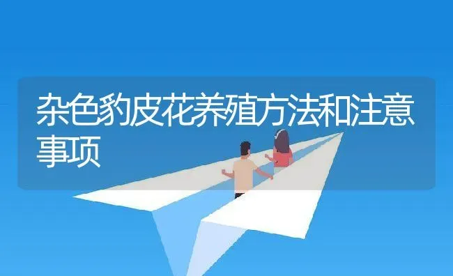 杂色豹皮花养殖方法和注意事项 | 养殖资料投稿