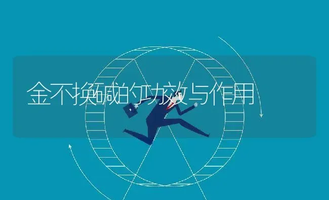 金不换碱的功效与作用 | 养殖资料投稿