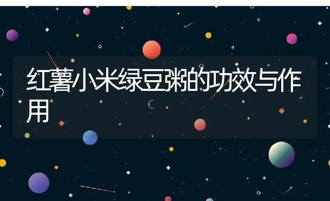 红薯小米绿豆粥的功效与作用 | 养殖资讯