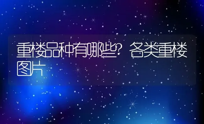 重楼品种有哪些?各类重楼图片 | 养殖资讯