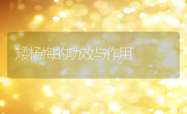 矮杨梅的功效与作用 | 养殖资料投稿
