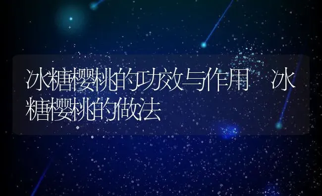 冰糖樱桃的功效与作用 冰糖樱桃的做法 | 养殖资料投稿