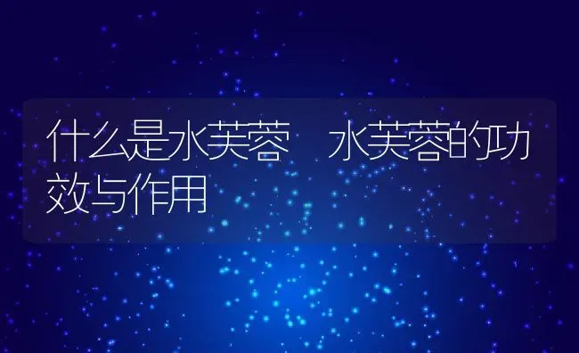 什么是水芙蓉 水芙蓉的功效与作用 | 养殖资料投稿