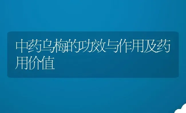 中药乌梅的功效与作用及药用价值 | 养殖资料投稿