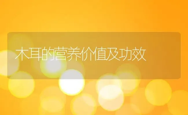 木耳的营养价值及功效 | 养殖资料投稿