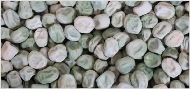 卖种子利润赚钱吗 | 养殖项目前景