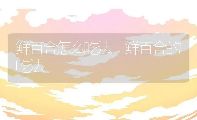 鲜百合怎么吃法 鲜百合的吃法 | 养殖资料投稿