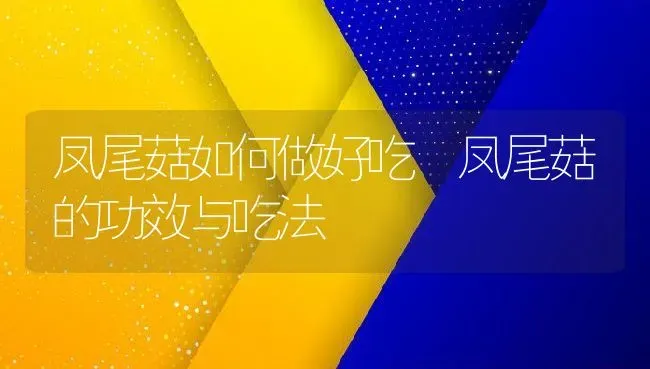 凤尾菇如何做好吃 凤尾菇的功效与吃法 | 养殖资料投稿