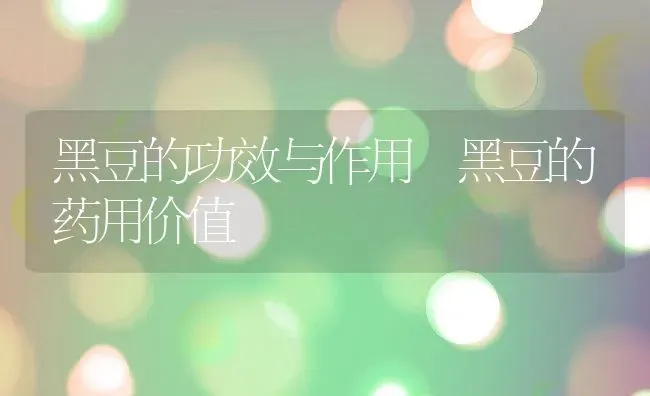 黑豆的功效与作用 黑豆的药用价值 | 养殖资料投稿