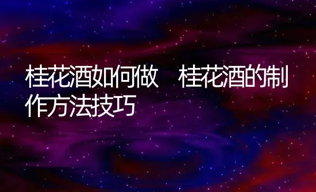 桂花酒如何做 桂花酒的制作方法技巧 | 养殖资料投稿