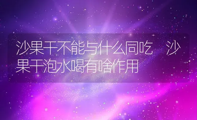 沙果干不能与什么同吃 沙果干泡水喝有啥作用 | 养殖资料投稿