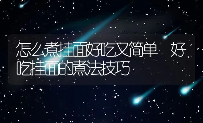 怎么煮挂面好吃又简单 好吃挂面的煮法技巧 | 养殖资讯