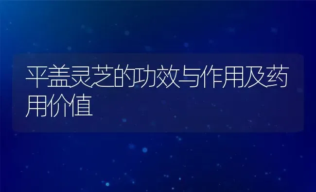 平盖灵芝的功效与作用及药用价值 | 养殖资料投稿