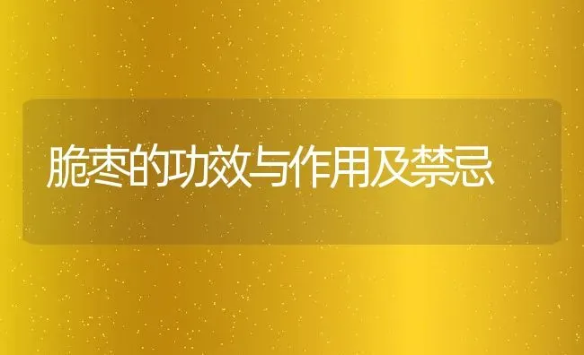 脆枣的功效与作用及禁忌 | 养殖资料投稿