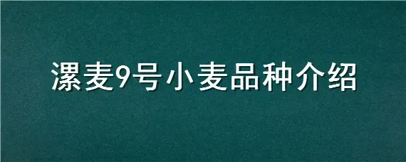 漯麦9号小麦品种介绍