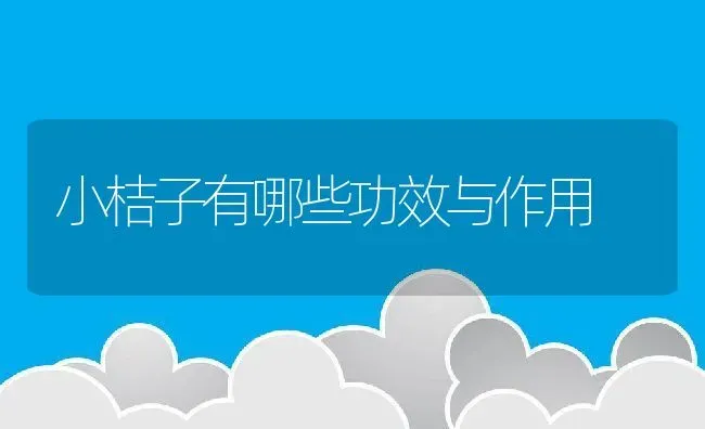 小桔子有哪些功效与作用 | 养殖资料投稿