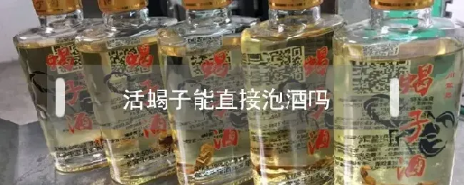 活蝎子能直接泡酒吗