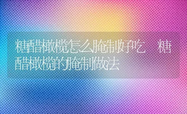 糖醋橄榄怎么腌制好吃 糖醋橄榄的腌制做法 | 养殖资料投稿