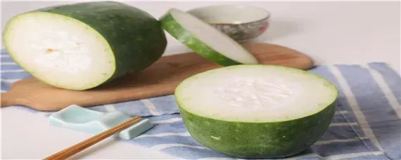 冬瓜的栽培与种植技术