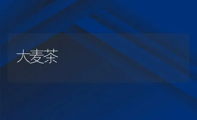 大麦茶 | 养殖资料投稿