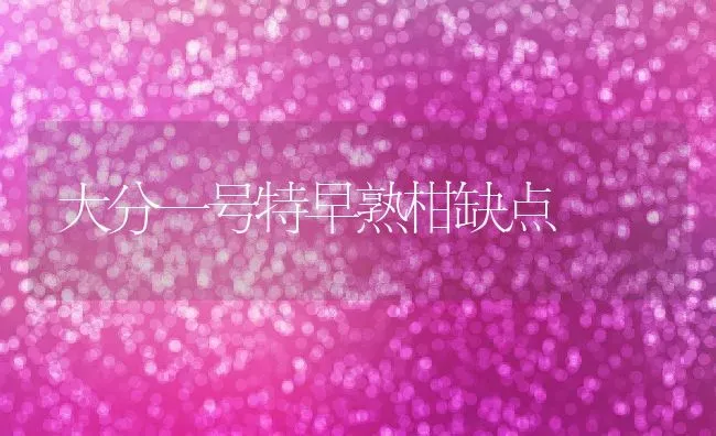 大分一号特早熟柑缺点 | 养殖资讯