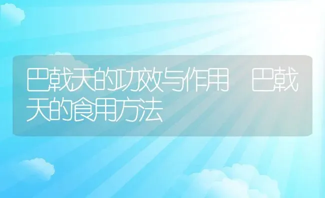 巴戟天的功效与作用 巴戟天的食用方法 | 养殖资料投稿