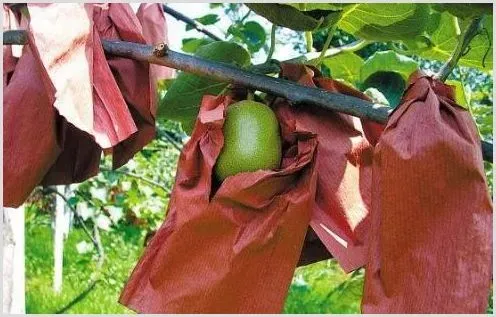 农产品如何卖？新农人有奇招 | 热门养殖项目