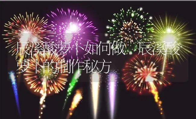 辰溪酸萝卜如何做 辰溪酸萝卜的制作秘方 | 养殖资料投稿