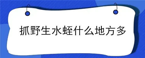 抓野生水蛭什么地方多