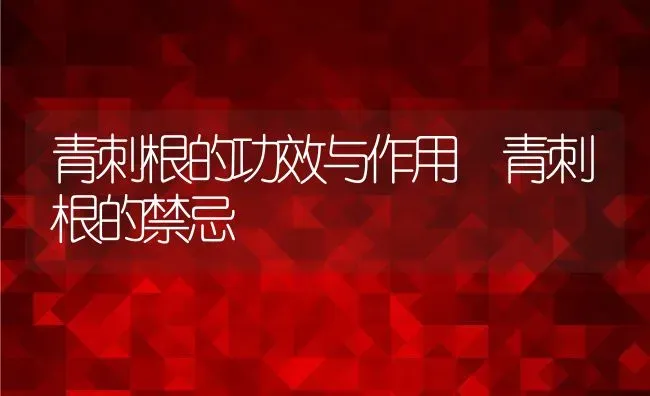 青刺根的功效与作用 青刺根的禁忌 | 养殖资料投稿