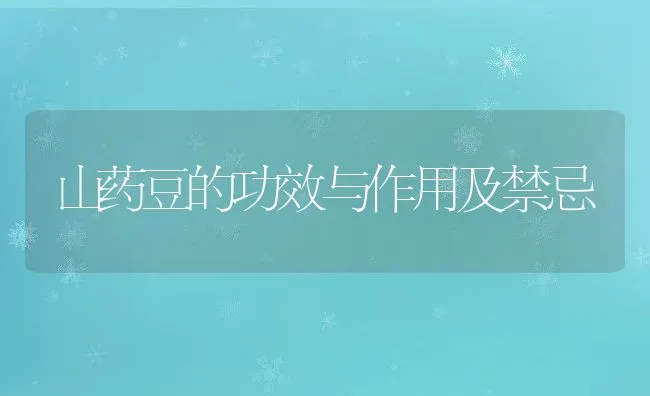 山药豆的功效与作用及禁忌 | 养殖资料投稿