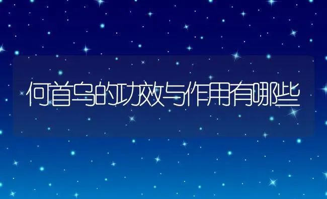 何首乌的功效与作用有哪些 | 养殖资料投稿