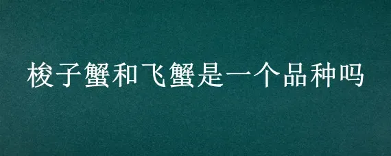 梭子蟹和飞蟹是一个品种吗