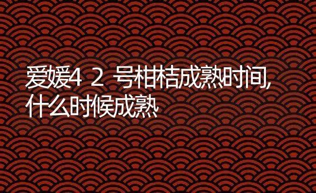 爱媛42号柑桔成熟时间,什么时候成熟 | 养殖资讯