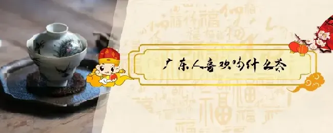 广东人喜欢喝什么茶