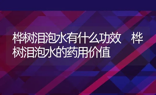 桦树泪泡水有什么功效 桦树泪泡水的药用价值 | 养殖资料投稿