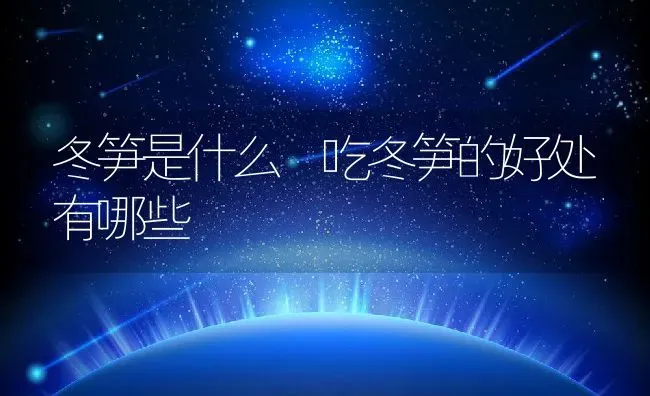 冬笋是什么 吃冬笋的好处有哪些 | 养殖资料投稿