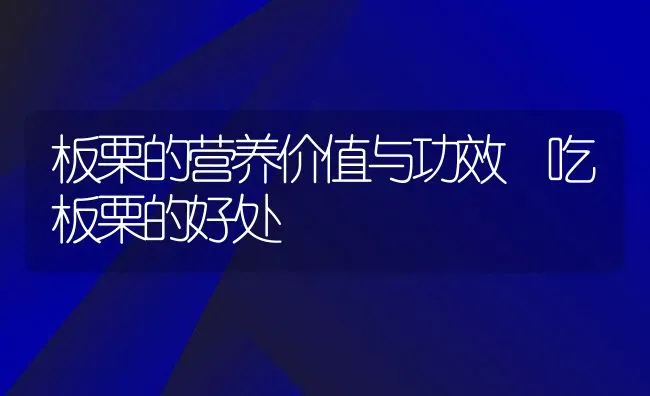 板栗的营养价值与功效 吃板栗的好处 | 养殖资料投稿