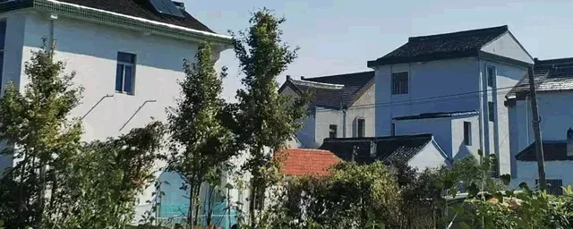 马犬的缺点