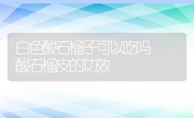 白色酸石榴子可以吃吗  酸石榴皮的功效 | 养殖资料投稿