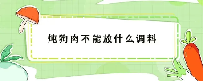 炖狗肉不能放什么调料