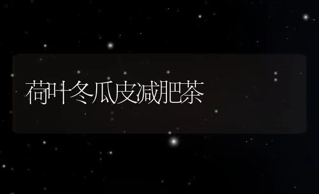 荷叶冬瓜皮减肥茶 | 养殖资料投稿