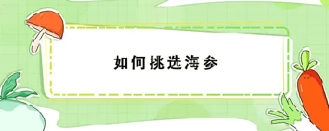如何挑选海参