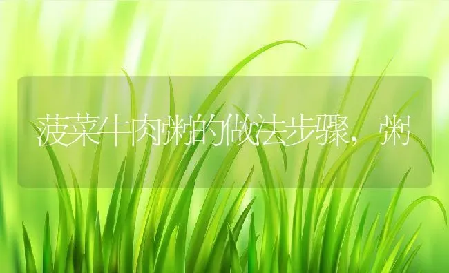 菠菜牛肉粥的做法步骤,粥 | 养殖资料投稿